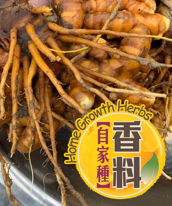 ForME HONEY 肉桂黃薑草本蜜-1